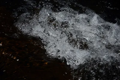 DSC_9944 (Large).JPG